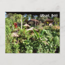 Suche nach tropische pflanzen postkarten Für alle