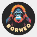 Suche nach borneo aufkleber Jede person