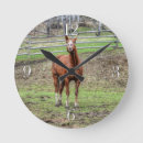 Suche nach stallions wanduhren Hengst