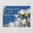 Suche nach magnolienbaum postkarten Jede person