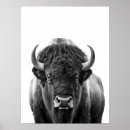 Suche nach bison poster Portrait