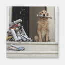 Suche nach sitzend magnete Hund