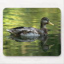 Suche nach henne mousepads Vogel