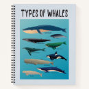 Suche nach orca kleine notizbücher Für alle