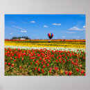 Suche nach gelbe tulpe poster Rot