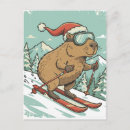 Suche nach skifahrer postkarten Tier