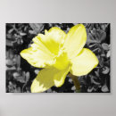 Suche nach gerahmter druck poster Blume