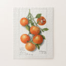 Suche nach pflanze puzzle Illustration