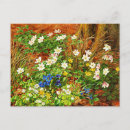 Suche nach waldboden postkarten Blume