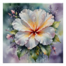 Suche nach hibiskus poster Aquarell
