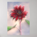 Suche nach bläser poster Botanisch