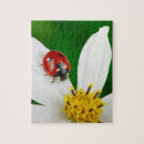 Suche nach ladybug puzzle Bunt