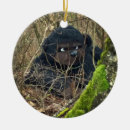Suche nach wälder ornamente Wald