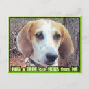 Suche nach baum hugger postkarten Bäume