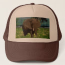 Suche nach afrikanisch baseball kappen Elefant