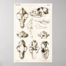 Suche nach wolf poster Vintag