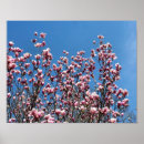 Suche nach rosa himmel poster Für sie