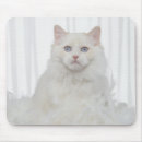 Suche nach weiße feder mousepads Natur