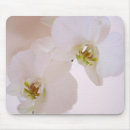 Suche nach weiße orchidee mousepads Blume