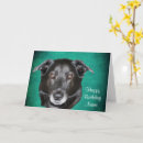 Suche nach labrador retriever geburtstag karten Für ihn