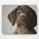 Suche nach tierköpfe mousepads Hund