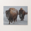 Suche nach yellowstone puzzle Wild lebende tiere