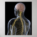 Suche nach healthcare poster Square