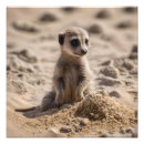 Suche nach mekka poster Tierwelt