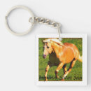 Suche nach stallion accessoires Jede person