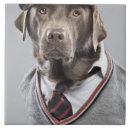 Suche nach inländisch fliesen Tier