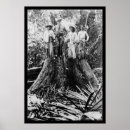 Suche nach holzfäller poster Foto