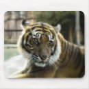 Suche nach orange schwarzes mousepads Jede person