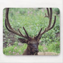 Suche nach stillstehen mousepads Tierjagd