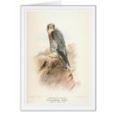 Suche nach ausländischer postkarten Vogel