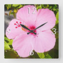 Suche nach rosa hibiskus wanduhren Blume