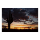 Suche nach arizona wüste poster Nationalpark