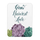 Suche nach glück magnete Kakteen