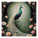 Suche nach peacock poster Grün