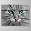 Suche nach katzenaugen poster Haustier