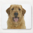 Suche nach weiße hunde mousepads Reinrassiger hund