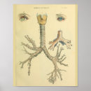 Suche nach eyes poster Augen