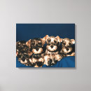 Suche nach junges tier leinwandbilder Welpe