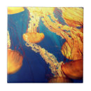 Suche nach qualle fliesen Tier