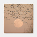 Suche nach grus magnete Fliegend