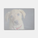 Suche nach fox post it Hund