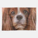 Suche nach zeichnen geschirr tücher Schön