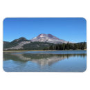 Suche nach süden magnete Natur