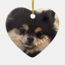 Suche nach regenbogenbrücke ornamente Haustierdenkmal