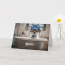 Suche nach niedlicher chihuahua karten Hund