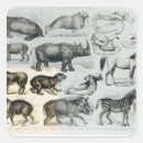 Suche nach zoologie aufkleber Lithographie